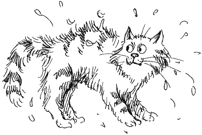 Раскраски к паустовский кот ворюга к произведению (46 фото)