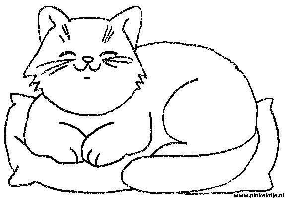 Толстый кот раскраска