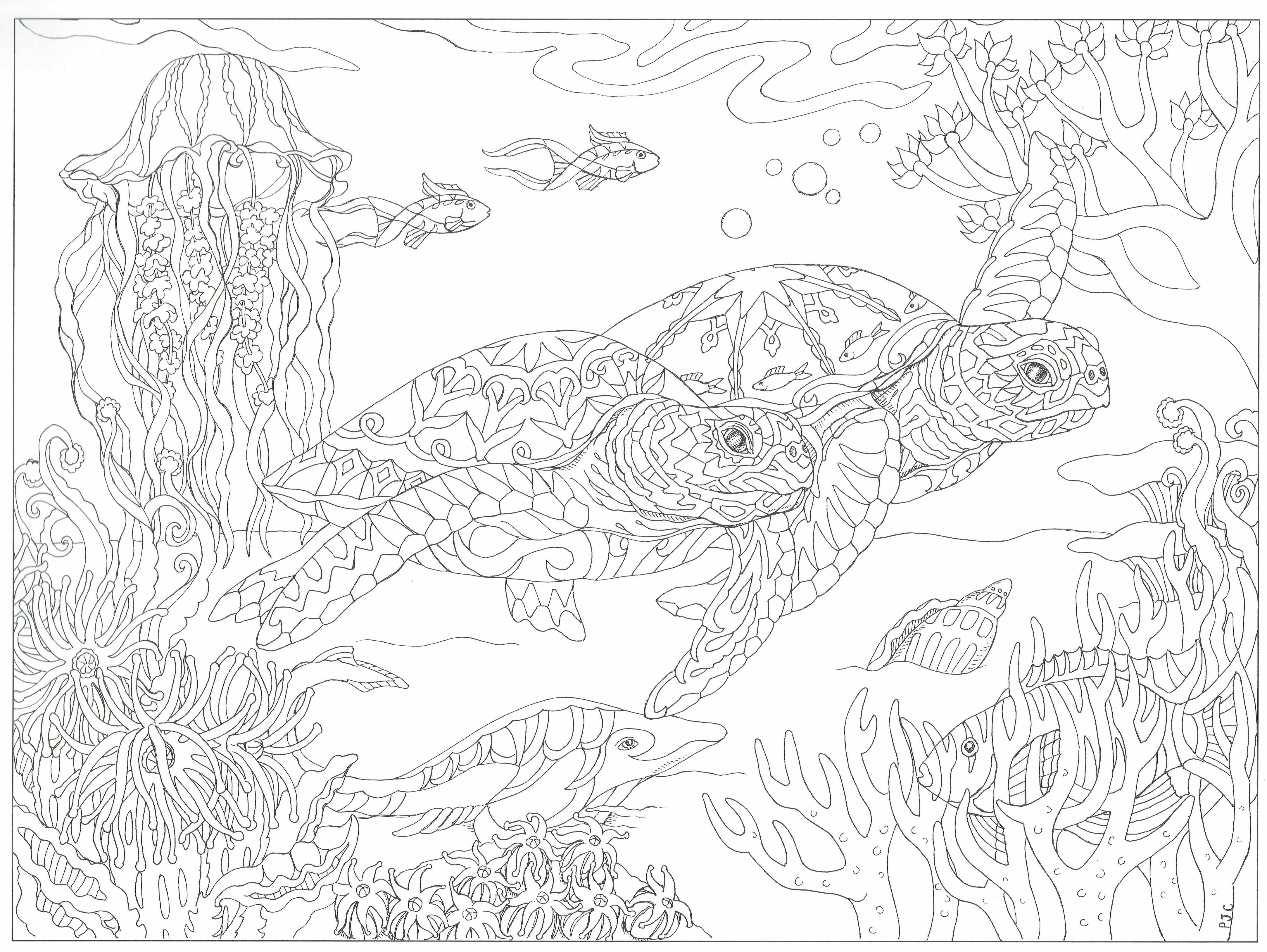 Схема затерянного. Раскраска морские обитатели. Раскраска "подводный мир". Раскраска. Морской мир. Раскраска морские обитате.