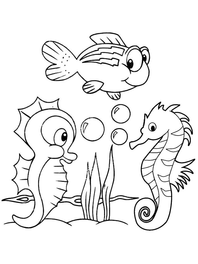 Милые морские коньки раскраски для детей