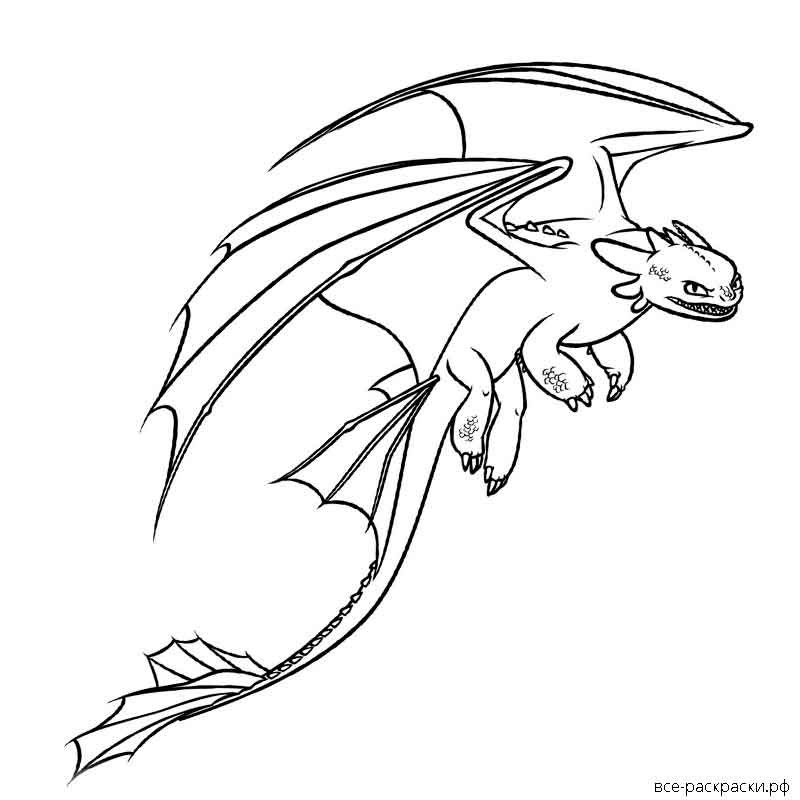 Раскраски Как приручить дракона распечатать бесплатно