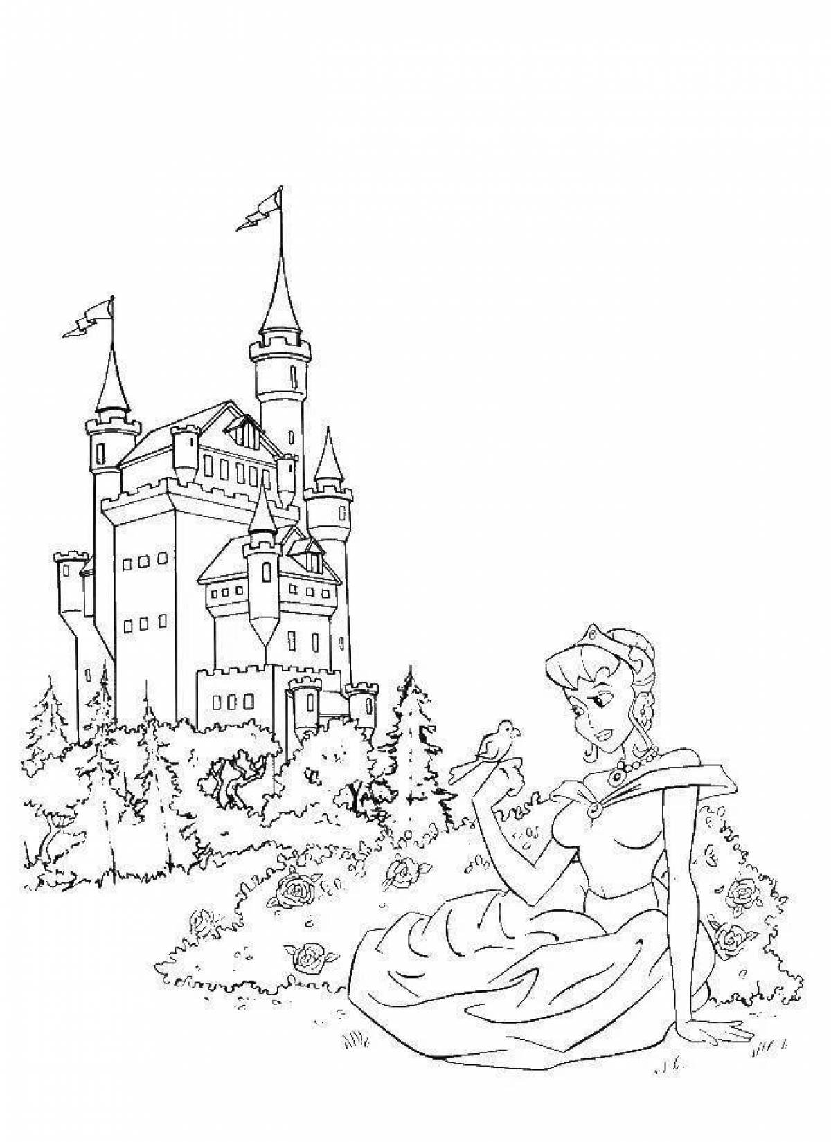 Рисунок раскраска замок принцессы (46 фото)