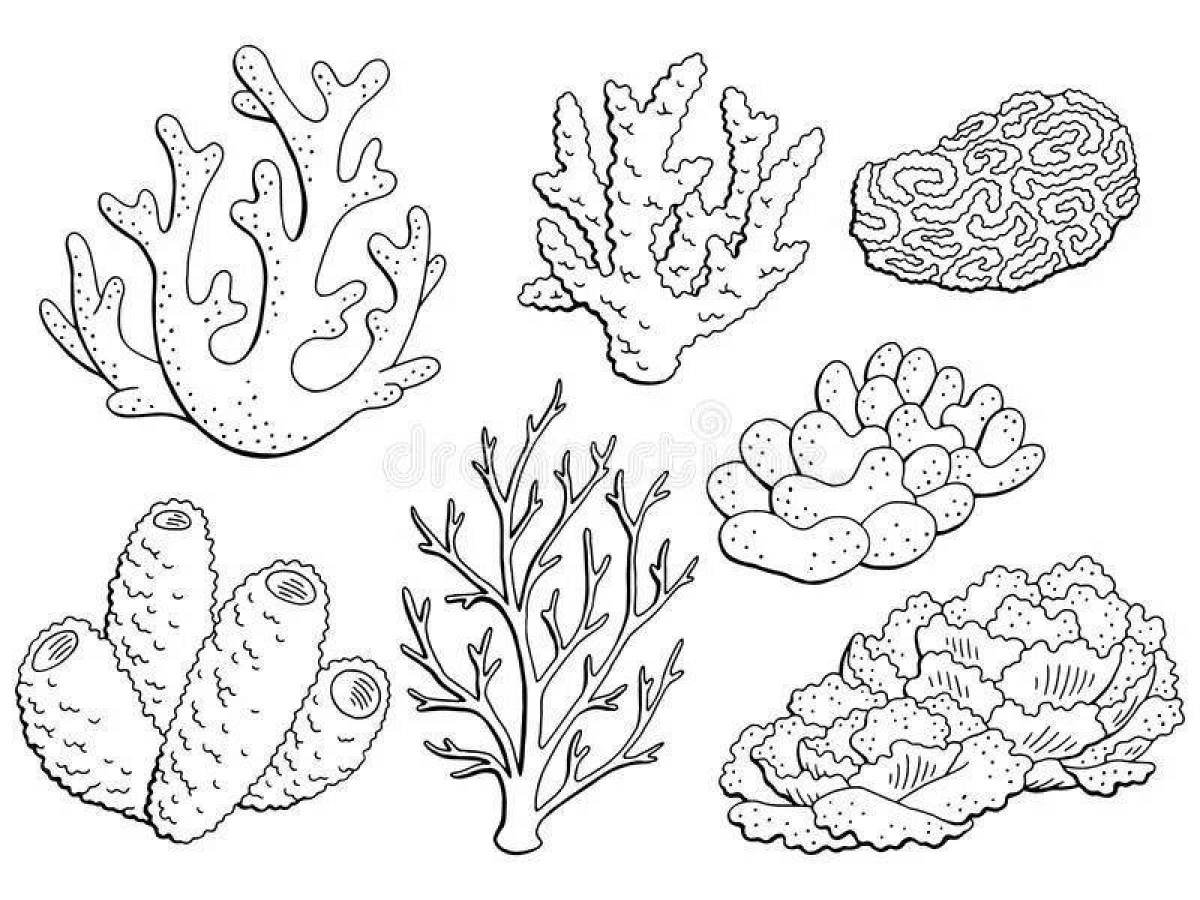 Раскраски коралловый (природа) – Бесплатные раскраски для печати