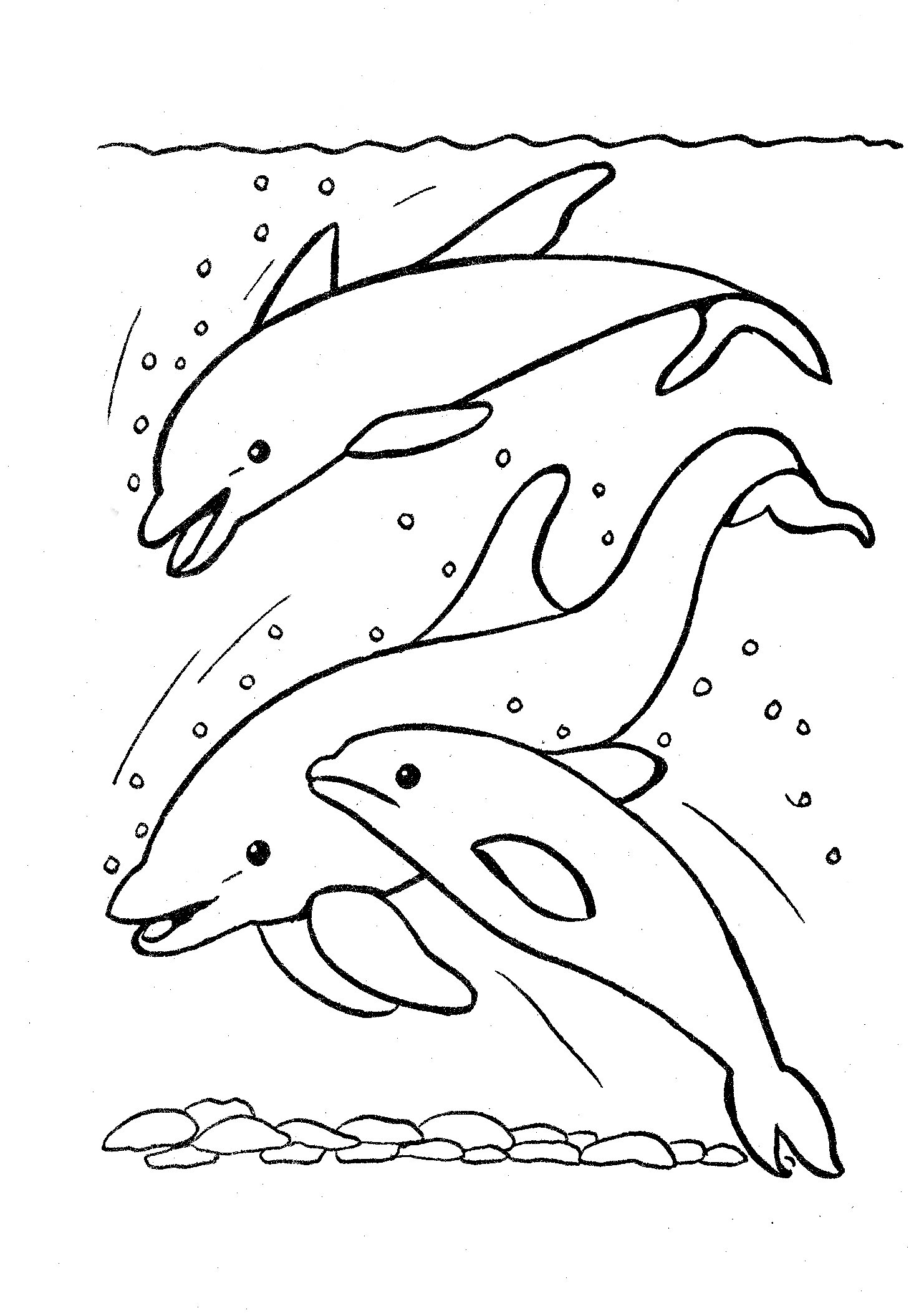 Раскраски дельфины: Анимированные картинки и гифки
