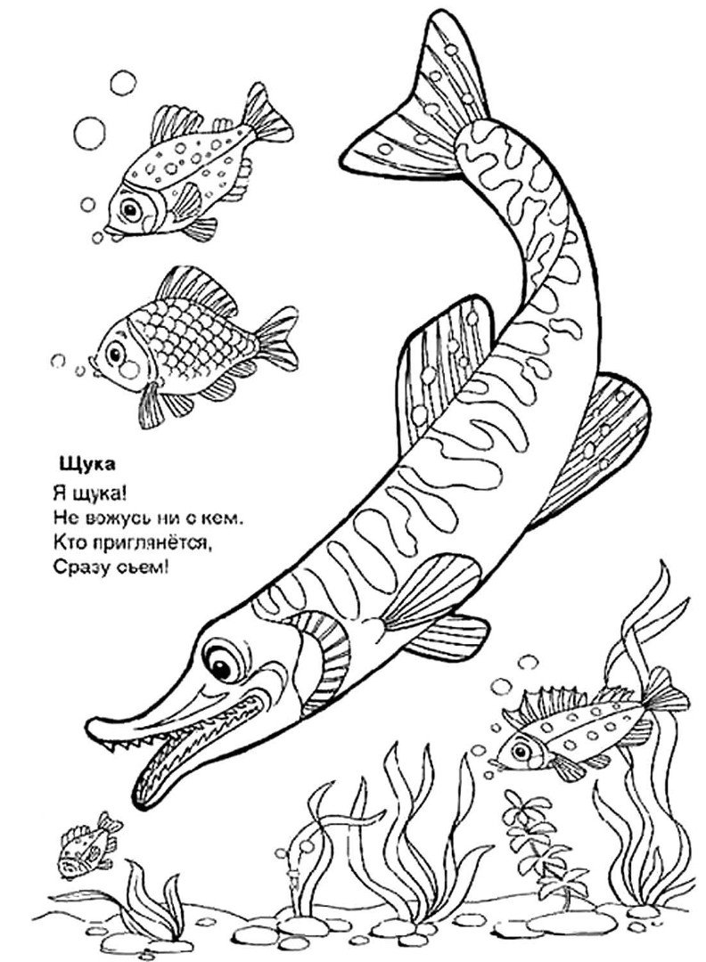 Раскраски рыбок и морских обитателей для малышей: распечатать