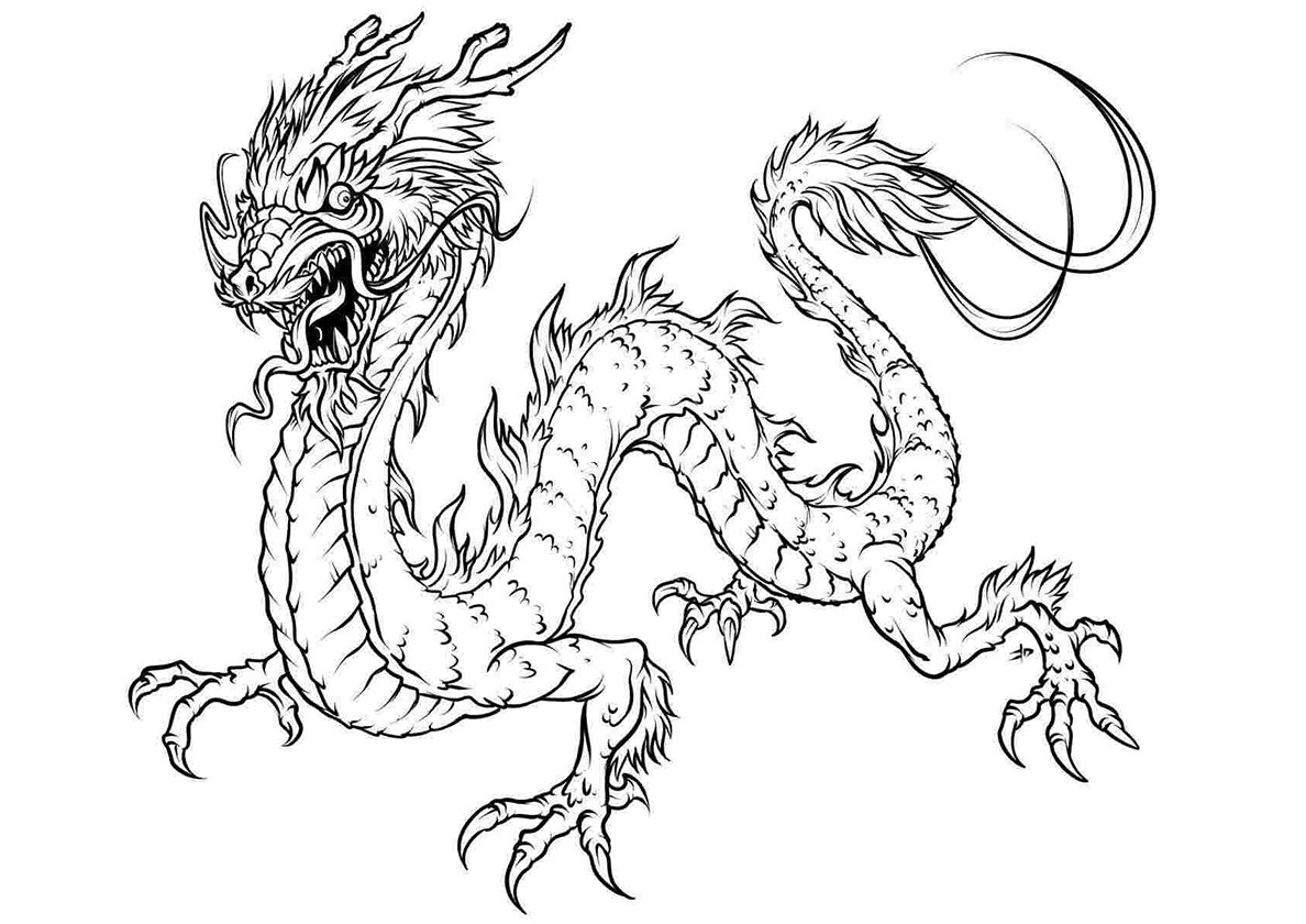 Злой дракон в огне | Dragon coloring page, Detailed coloring pages, Animal coloring pages