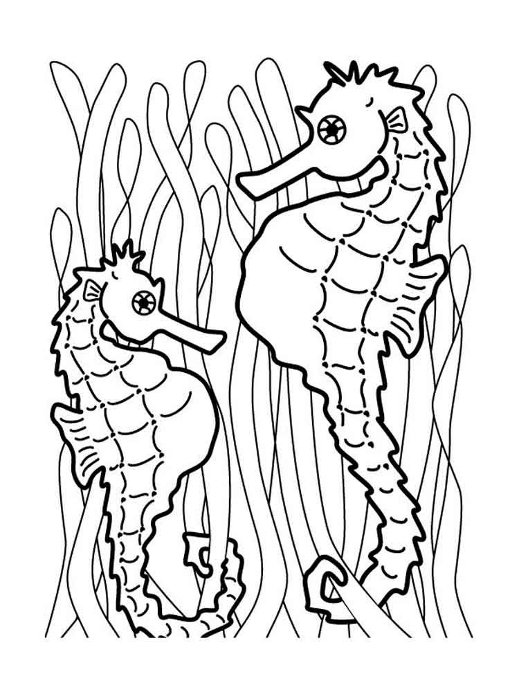 Раскраска Морской конёк