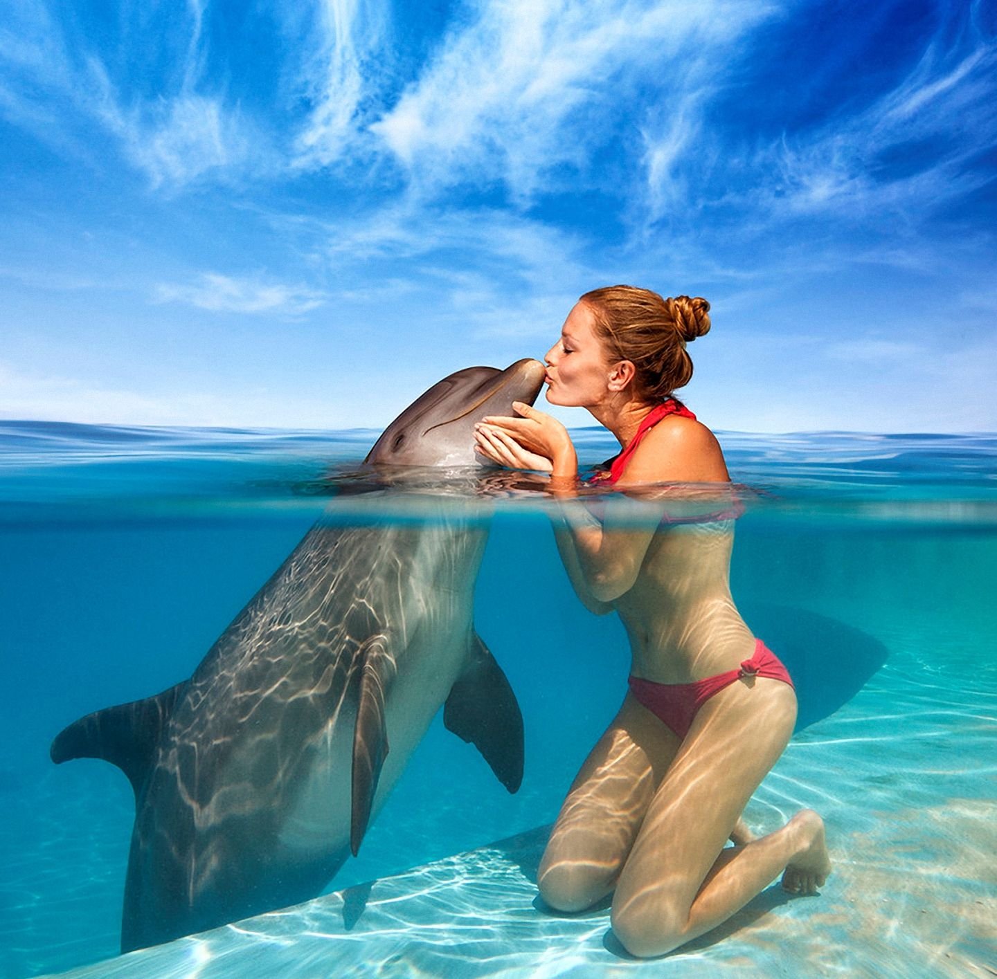 Дельфин ч буду жить. Девушка и Дельфин. Дельфины в море. Девушка-море. Девушка плавает с дельфинами.