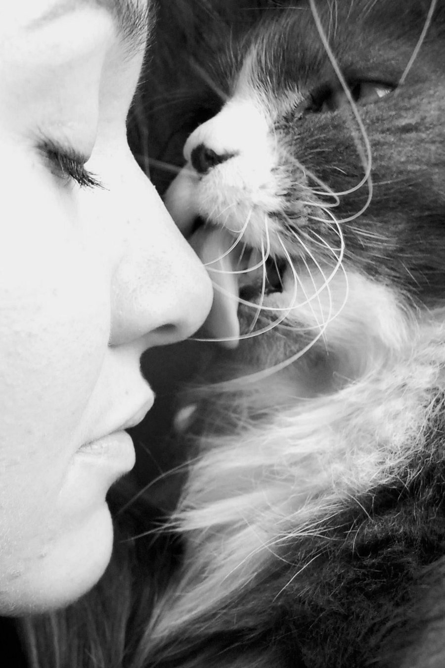 Картинка девушка с кошкой. Девушка кошка. Девушка с котиком. Девушка обнимает кота. Девушка целует кота.