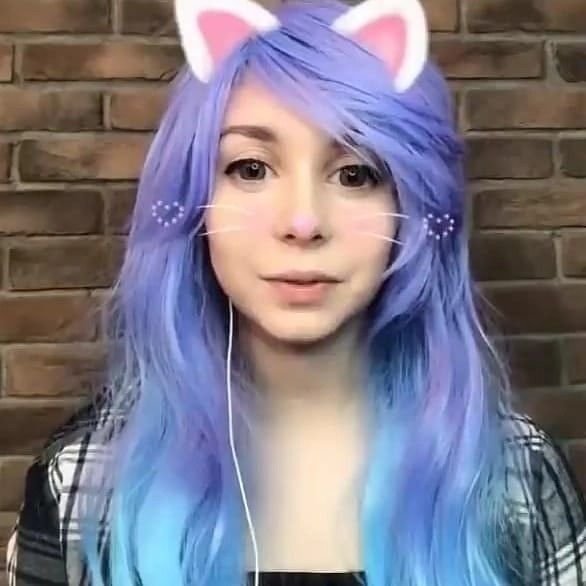 Кошка Лана