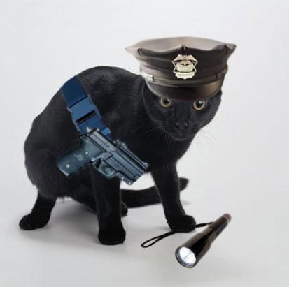 Котик в полицейской форме