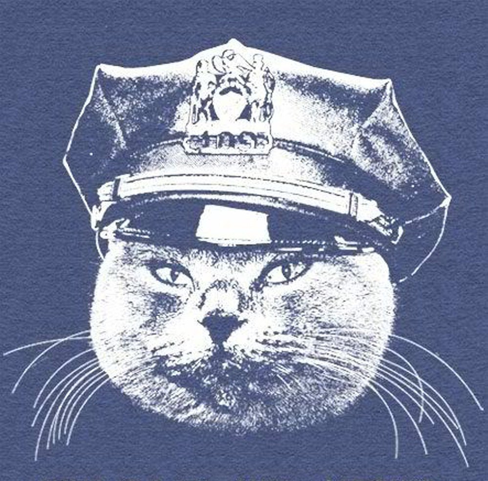 Путеводитель по самым смеш­ным мемным котам из рилсов* — с исто­рией и шаблонами