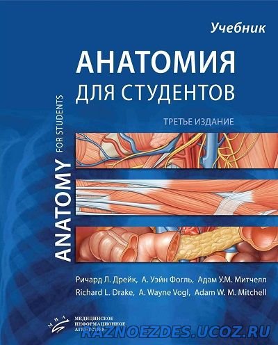 Картинки анатомия человека для студентов (47 фото)