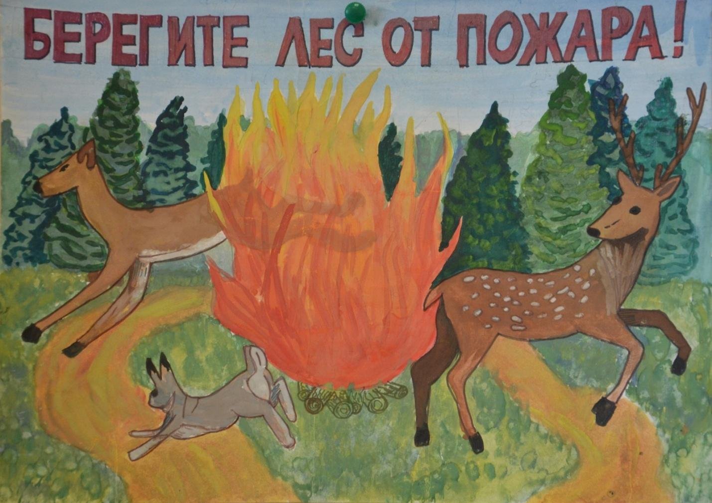Раскраска пожар в лесу для детей