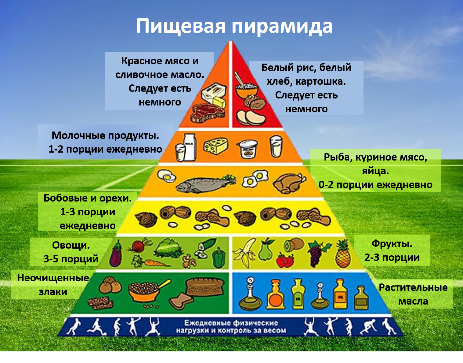 Пирамида питания здорового человека. Новая пирамида питания. Продуктовая пирамида. Пирамида питания пищевая пирамида школьника. Основа пирамиды здорового питания.