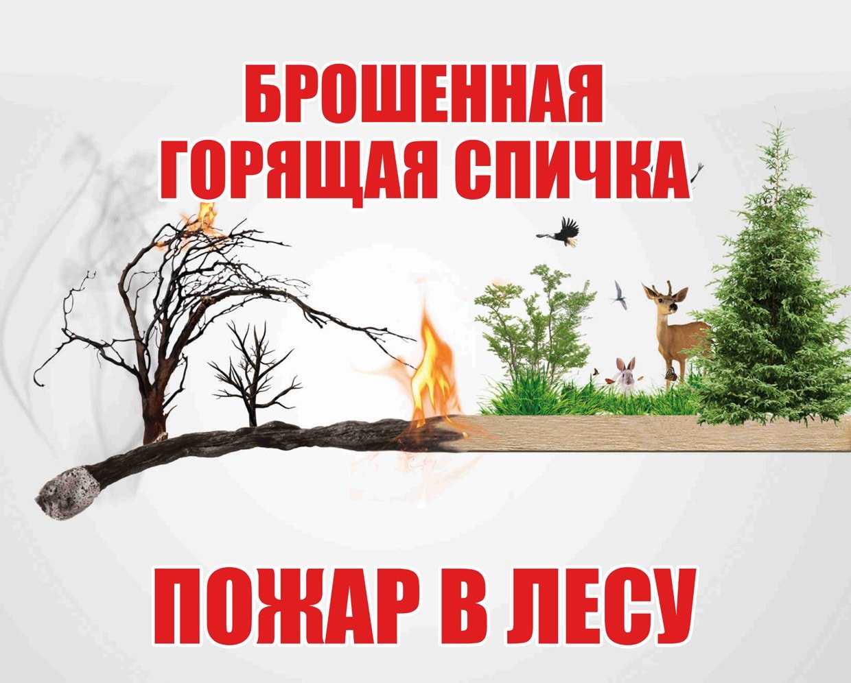 Останови огонь. Плакат Лесные пожары. Плакат от лесных пожаров. Брошенная горящая спичка пожар в лесу.
