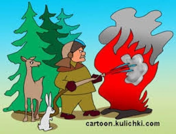 Лесные пожары карикатура