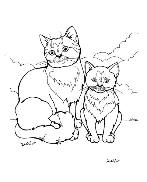 Кошка с котятами раскраска для детей