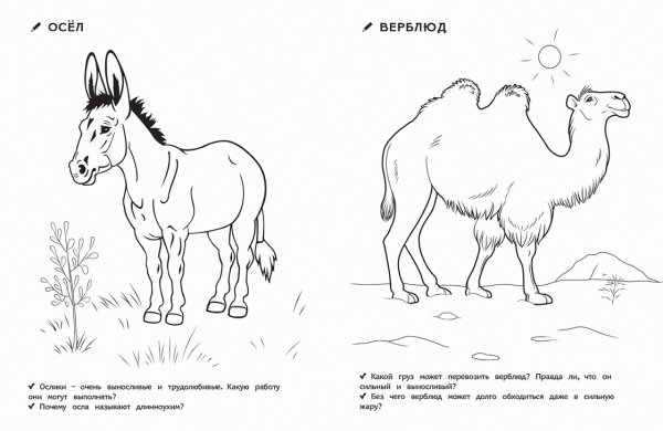 Домашние животные раскраска для детей