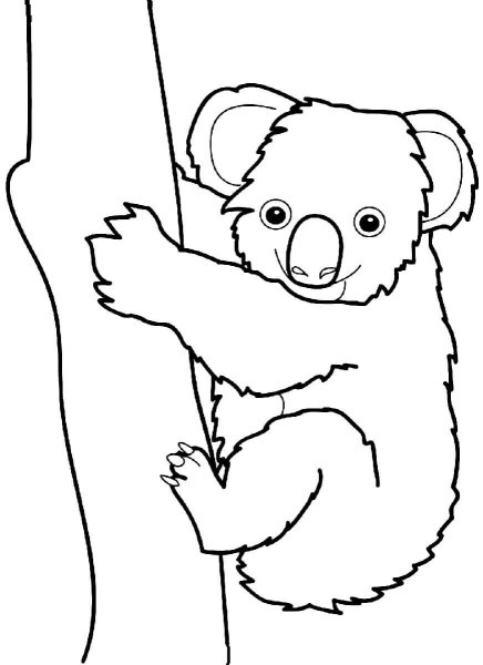 Коала рисунок раскраска