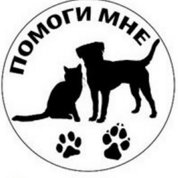 Защита животных