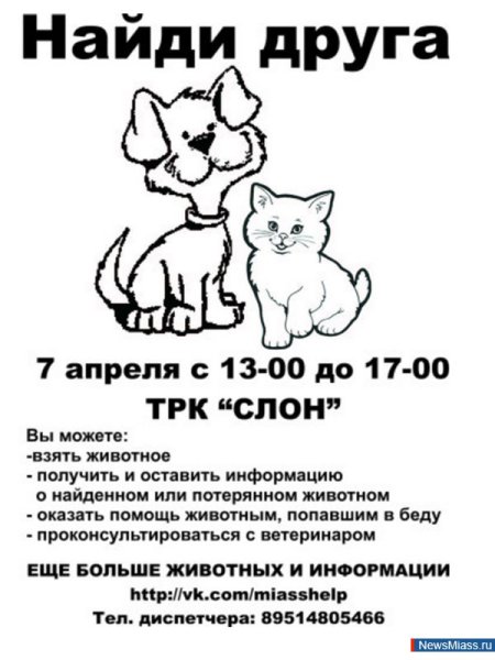Раскраска бездомные животные