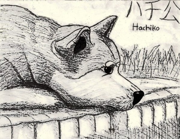 Памятник Хатико рисунок