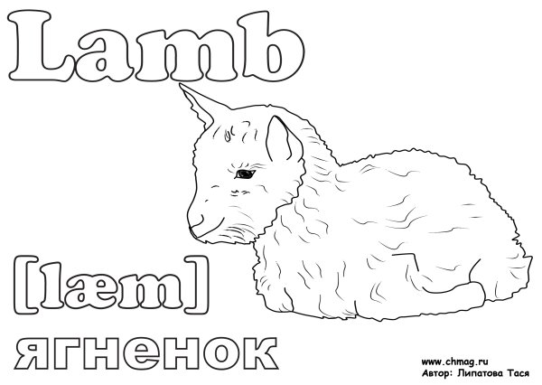 Раскраска животные на ферме