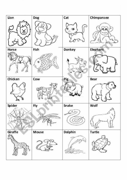Задания для детей англ яз animals