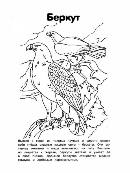 Категория раскраски орел орлы Орёл парит над горами