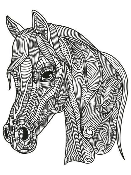 Zentangle лошади