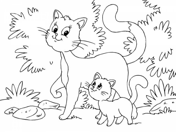 Кошки. Раскраска