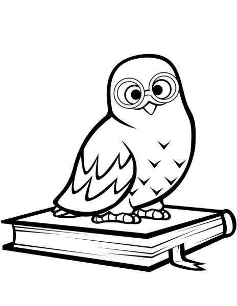 Сова с книгой раскраска