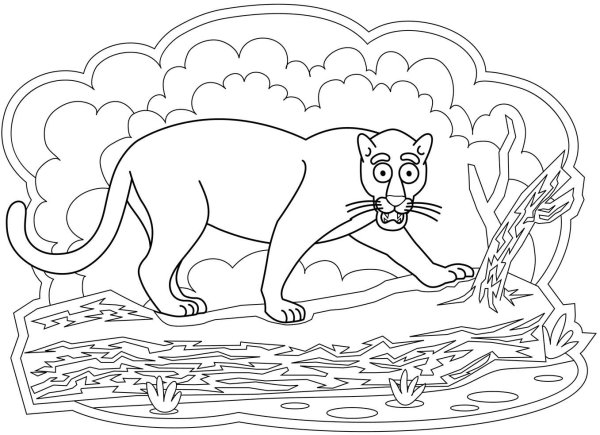 Раскраска по номерам Пантера Рыжий кот 20 x 30 см