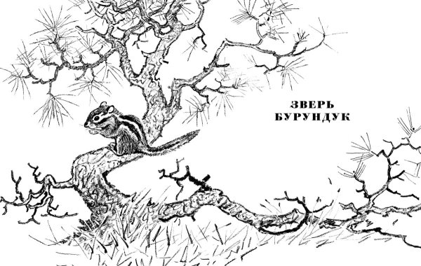 Зверь бурундук пришвин