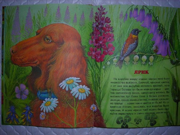 Звери, птицы