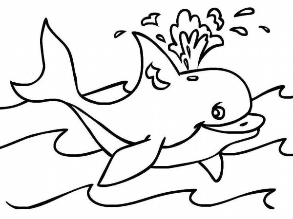 Раскраски подводные животные (66 фото)