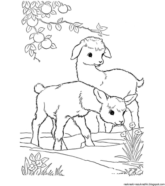 Щенок. Раскраска