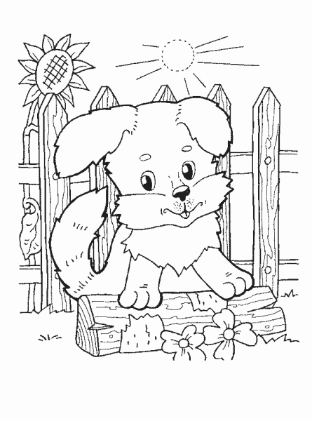 Кошки и собаки. Раскраска