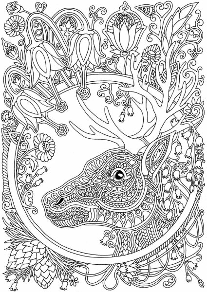 Mythomorphia Kerby Rosanes