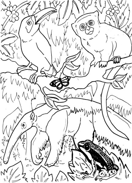 Раскраска для малышей Животные джунглей, формат А4, 16 стр