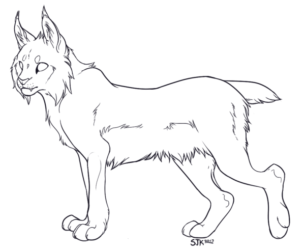 Лайны WILDCRAFT Рысь