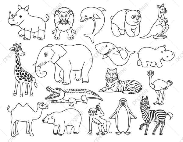 Черно-белые рисунки для срисовки животные (37 фото) 🔥 Прикольные картинки и юмор