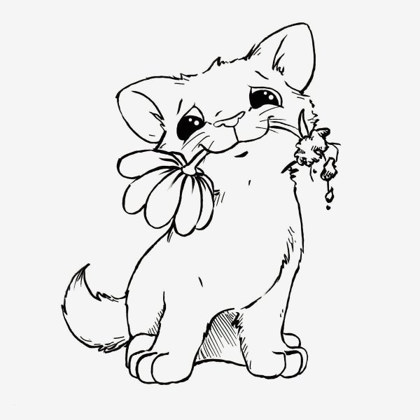 Кошечка с бантиком раскраска