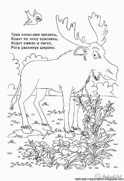 Загадки раскраски про животных