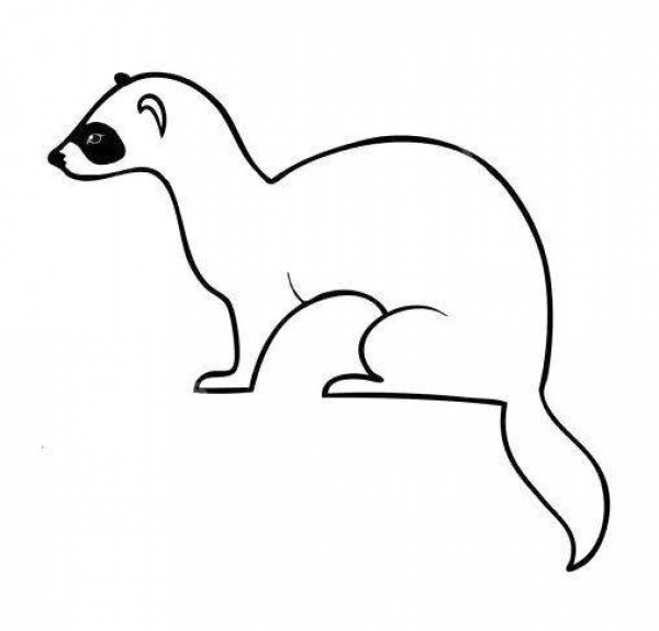 Ласка рисунок