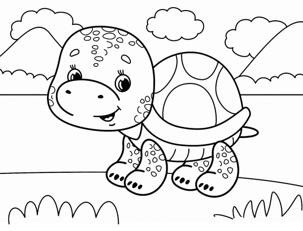 Раскраска Черепашки для детей 4-5 лет