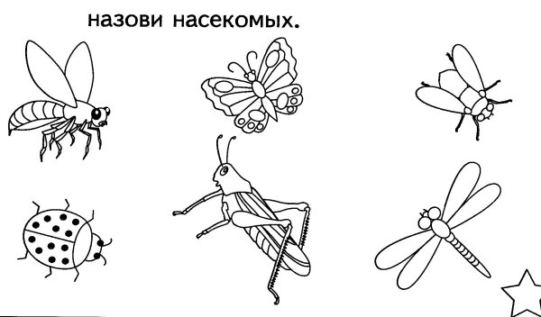 Насекомые задания для детей