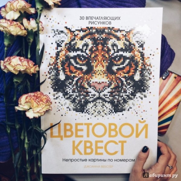 Цветовой квест