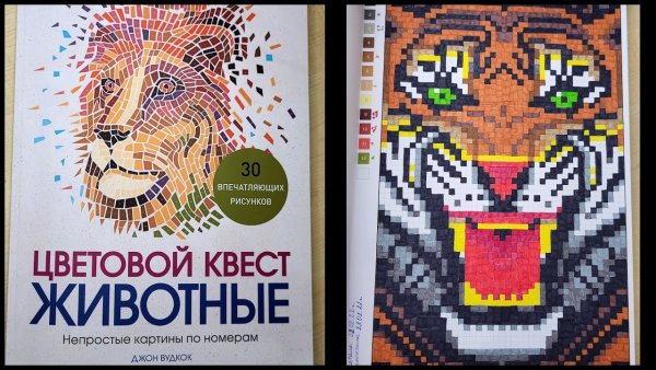 Цветовой квест животные